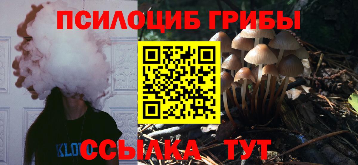 Галлюциногенные грибы MAGIC MUSHROOMS  Вход с VPN  Псилоцибиновые грибы ЛСД  Елабуга 